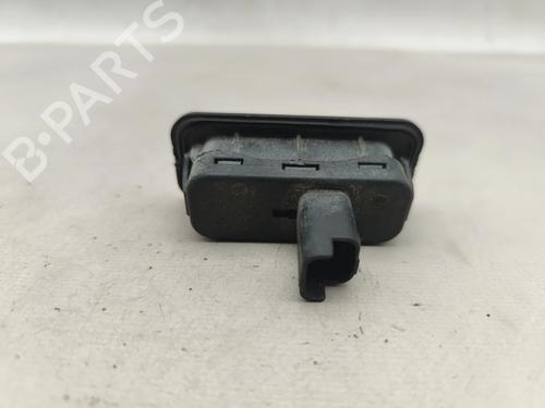 Tailgate handle RENAULT SCÉNIC II (JM0/1_) 1.5 dCi (JM1E, JM16) | BP29983687C132