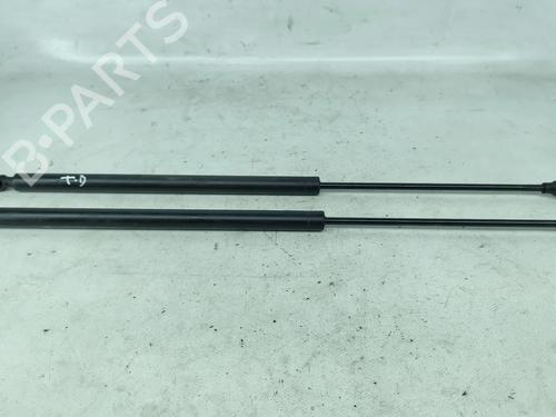 tailgate-lift-support-citroen-saxo-s0-s1-1996-1997-1998-1999-2000-2001-2002-2003-2004-29737401 main image