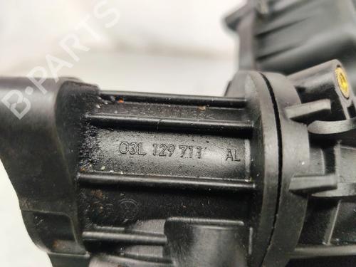 Intake manifold VW GOLF VI (5K1) 1.6 TDI | BP30136025M70