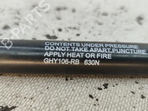 Tailgate lift support HYUNDAI MATRIX (FC) 1.6 | BP30172050C138 