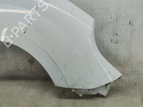Right front fenders RENAULT KANGOO Express (FW0/1_) 1.5 dCi 75 (FW07, FW10, FW04) | BP30295237C42
