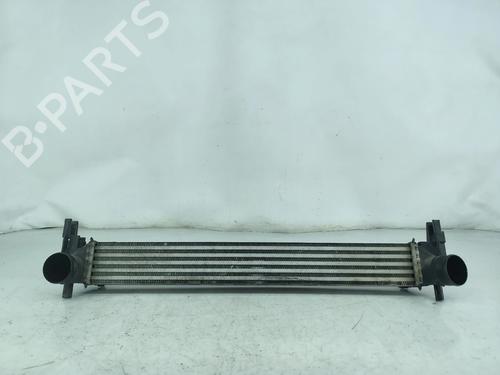 Intercooler VW POLO V (6R1, 6C1) 1.6 TDI (90 hp) 30202997
