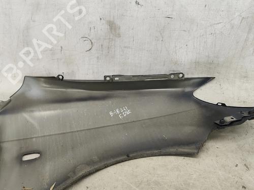 Left front fenders HYUNDAI GETZ (TB) 1.1 | BP30305467C41 