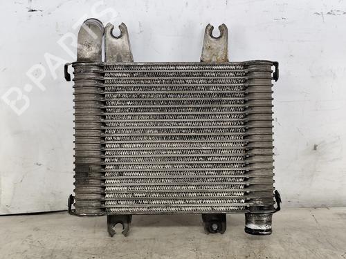 Used Intercooler KIA CARNIVAL I (UP, FL) 2.9 TDi (126 hp) 30327947