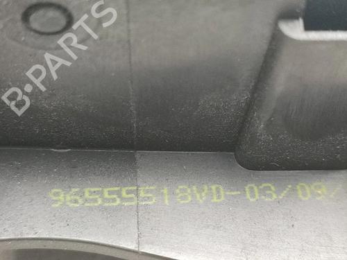 Front left interior door handle PEUGEOT 207 (WA_, WC_) 1.4 HDi | BP30331170I13