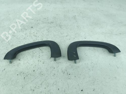 Interior roof handle NISSAN TERRANO II (R20) 2.7 TDi 4WD | BP29999813I35 