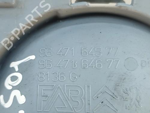 Front left interior door handle CITROËN C3 I (FC_, FN_) 1.1 i | BP30436233I13 