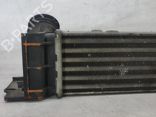 Intercooler BMW 3 (E90) 320 d | BP30062919M30 
