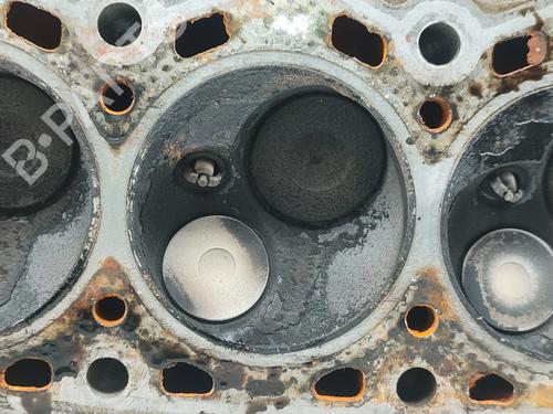 Cylinder head CITROËN XSARA (N1) 1.4 i | BP30512399M5 