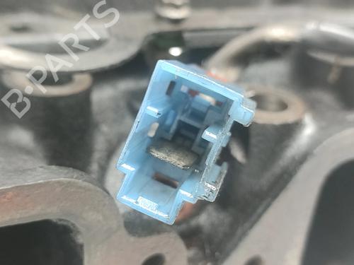 Cylinder head NISSAN TERRANO II (R20) 2.7 TDi 4WD | BP30510357M5