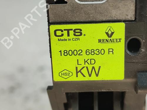 Pedal RENAULT TALISMAN (LP_) 1.5 dCi 110 (LPA3) | BP30571829I4 