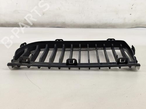 Grille BMW 3 (E90) 320 d | BP30749932C40