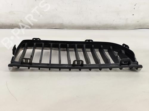 Grille BMW 3 (E90) 320 d | BP30749931C40