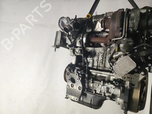 Motor für FORD FOCUS III 1.6 TDCi (115 hp) 28961918