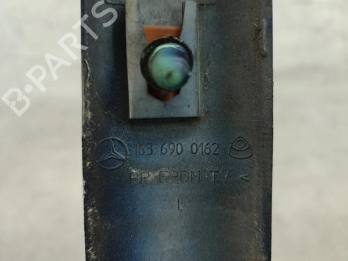 Door moulding trim MERCEDES-BENZ M-CLASS (W163) ML 320 (163.154) | BP30884078C150 