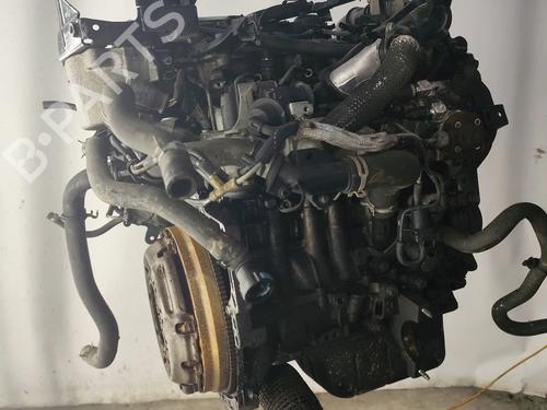 Used Engine FORD FIESTA VI (CB1, CCN) 1.6 TDCi (95 hp) 28440053