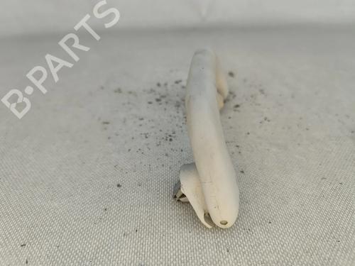 Interior roof handle VW POLO V (6R1, 6C1) 1.6 TDI | BP30834349I35