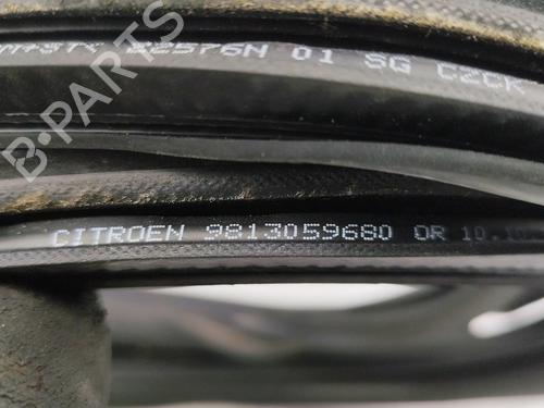 Gummiliste CITROËN C3 III (SX) 1.6 BlueHDi 75 | BP30905110C142 