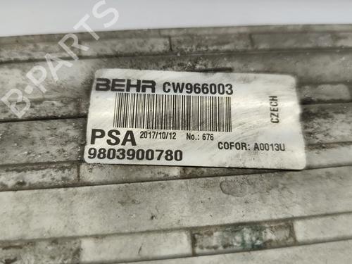 Intercooler CITROËN C3 III (SX) 1.6 BlueHDi 75 | BP30905163M30  - Image 5