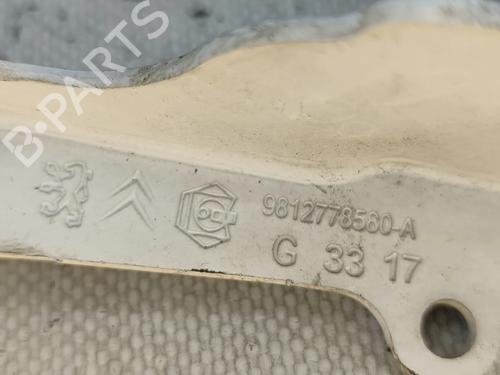 Dørhængsel/Dørbegrænser CITROËN C3 III (SX) 1.6 BlueHDi 75 | BP30905079C146 