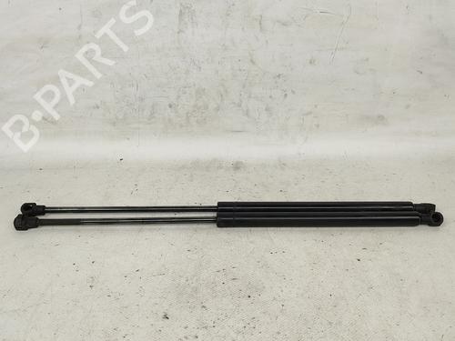 tailgate-lift-support-citroen-c5-ii-rc_-2004-2005-2006-2007-2008-30888873 main image