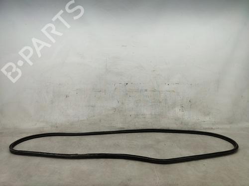 Used Rubber door seal PEUGEOT PARTNER Box Body/MPV (K9) 1.5 BlueHDi 100 (102 hp) 31023470