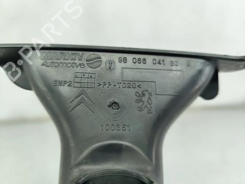 Pipe CITROËN C4 Picasso II 1.6 BlueHDi 120 | BP31083123M125