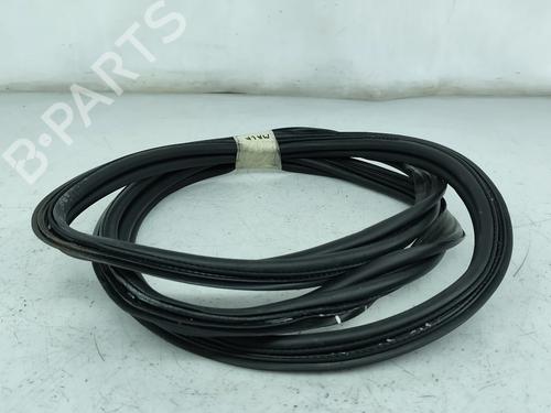 Gummiliste MERCEDES-BENZ CLS (C218) CLS 63 AMG (218.374) (558 hp) 31094852