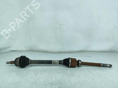 BP31092534M39 main image