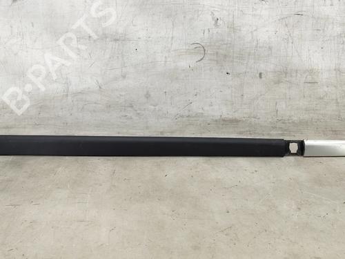 door-moulding-trim-renault-clio-iii-br01-cr01-2005-2006-2007-2008-2009-2010-2011-2012-2013-2014-31205176 main image