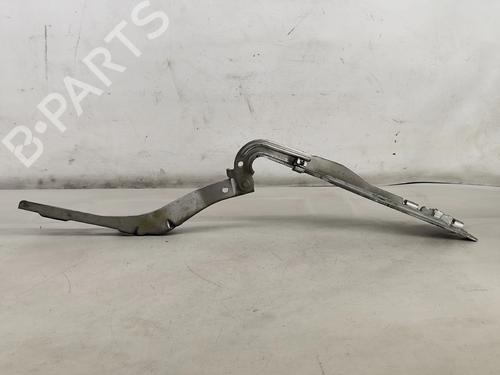 Hinge/Door check strap PEUGEOT 407 (6D_) 2.2 HDi 170 (6D4HTH) | BP31173211C146 