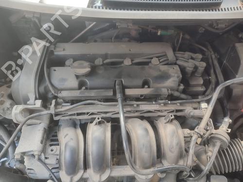 Used Engine FORD FIESTA VI (CB1, CCN) 1.25 (82 hp) 31263426