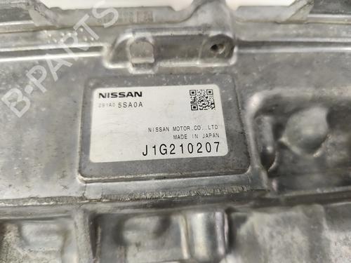 Inverter/Converter NISSAN LEAF (ZE1) Electric | BP31248919M119 