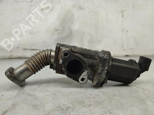 Egr FIAT PUNTO (188_) 1.9 JTD 80 (188.237, .257, .337, .357) | BP31016028M69