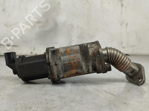 Egr FIAT PUNTO (188_) 1.9 JTD 80 (188.237, .257, .337, .357) | BP31016028M69