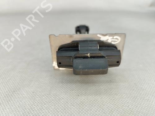 hingedoor-check-strap-peugeot-308-ii-lb_-lp_-lw_-lh_-l3_-2013-2014-2015-2016-2017-2018-2019-2020-2021-31205296 main image