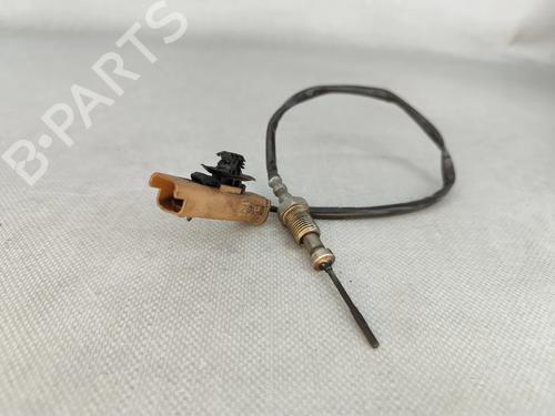 Used Electronic module Electronic module PEUGEOT 308 II (LB_, LP_, LW_, LH_, L3_) 1.6 HDi (92 hp) 31205310 31205310