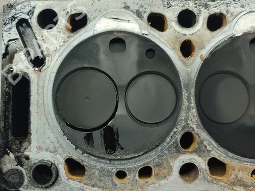  - Image 6