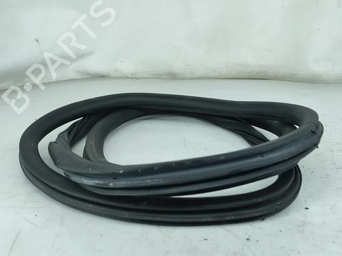 Gummiliste Gummiliste PEUGEOT 308 II (LB_, LP_, LW_, LH_, L3_) 1.6 HDi (92 hp) 31205236 31205236