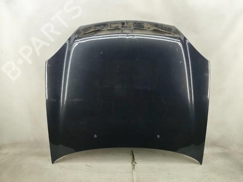 hood-citroen-xsara-n1-1997-1998-1999-2000-2001-2002-2003-2004-2005-31269395 main image