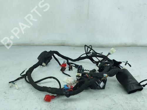 Wiring harness WOTTAN MOTOR GP GP One 125 | BP31249813E16 - Image 2