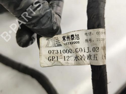 Wiring harness WOTTAN MOTOR GP GP One 125 | BP31249813E16 - Image 5