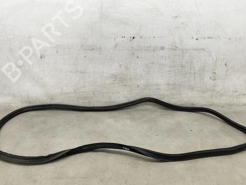 Gummiliste MERCEDES-BENZ R-CLASS (W251, V251) R 320 CDI 4-matic (251.125) (211 hp) 31337099