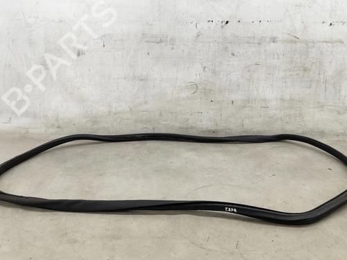 Gummilist VW PASSAT B7 (362) 1.6 TDI (105 hp) 31354868