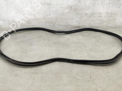 Gummilist VW PASSAT B7 (362) 1.6 TDI (105 hp) 31354869