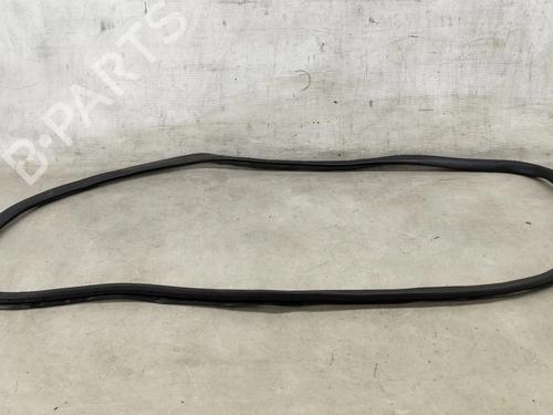 Gummilist VW PASSAT B7 (362) 1.6 TDI (105 hp) 31354865