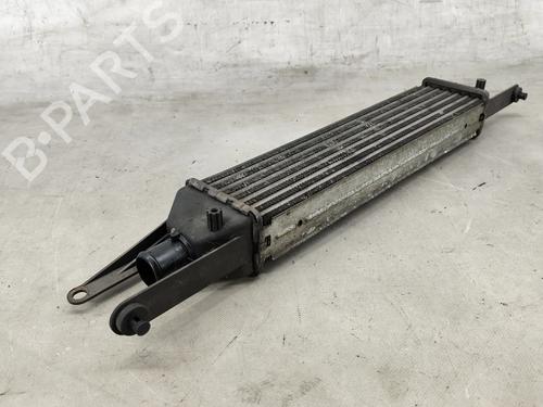 Intercooler FIAT LINEA (323_, 110_) 1.3 D Multijet (323AXB11, 323AXB1A) | BP31249872M30  - Image 5