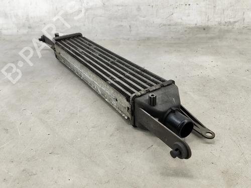 Intercooler FIAT LINEA (323_, 110_) 1.3 D Multijet (323AXB11, 323AXB1A) | BP31249872M30  - Image 6