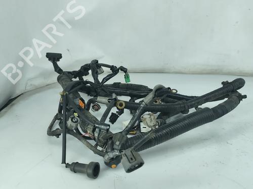 BP31588626E16 main image