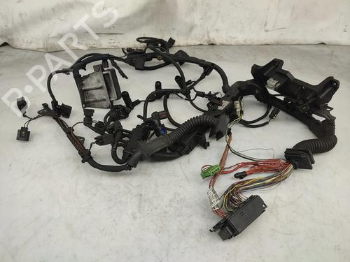 BP31171317E16 main image